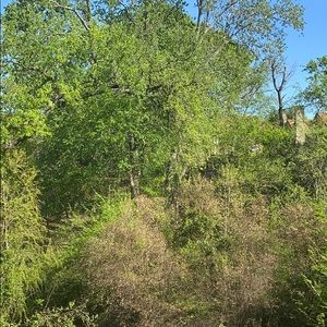 Meet your Posher, Candace